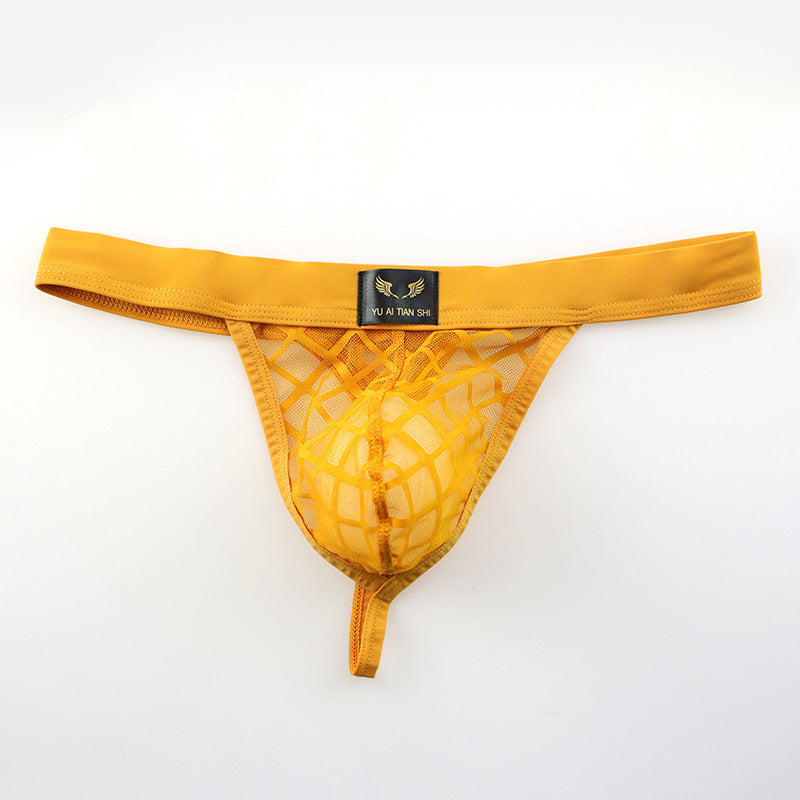 Shadowline Sheer Mesh Thong