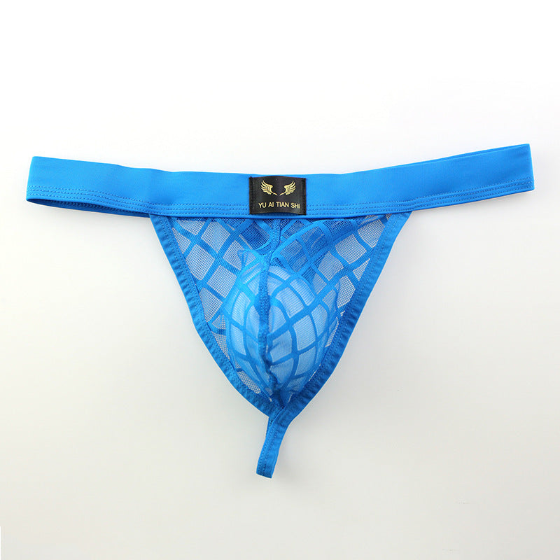 Shadowline Sheer Mesh Thong